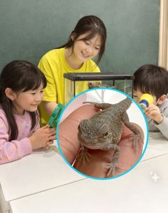 스튜디오 이미지