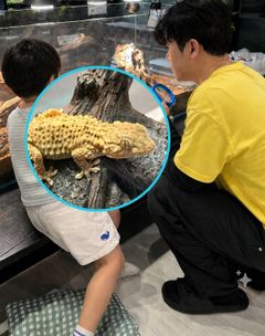 스튜디오 이미지