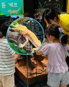 스튜디오 이미지