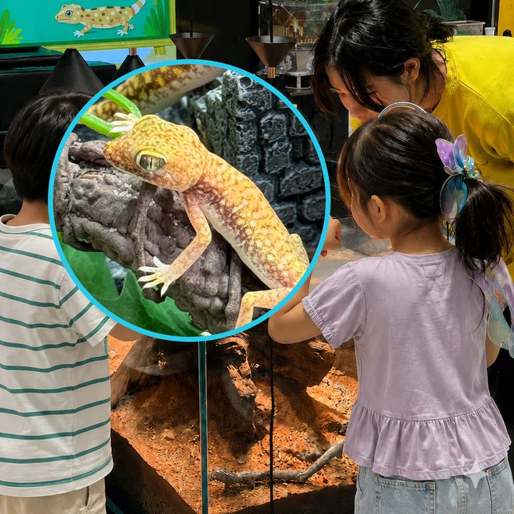 스튜디오 소개 이미지