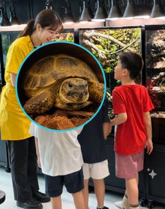스튜디오 이미지
