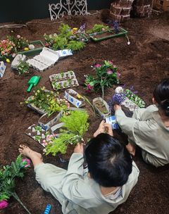 도시농부 이미지
