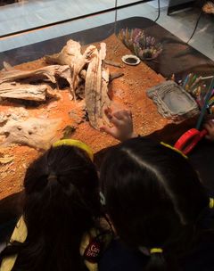 그린 스튜디오 이미지